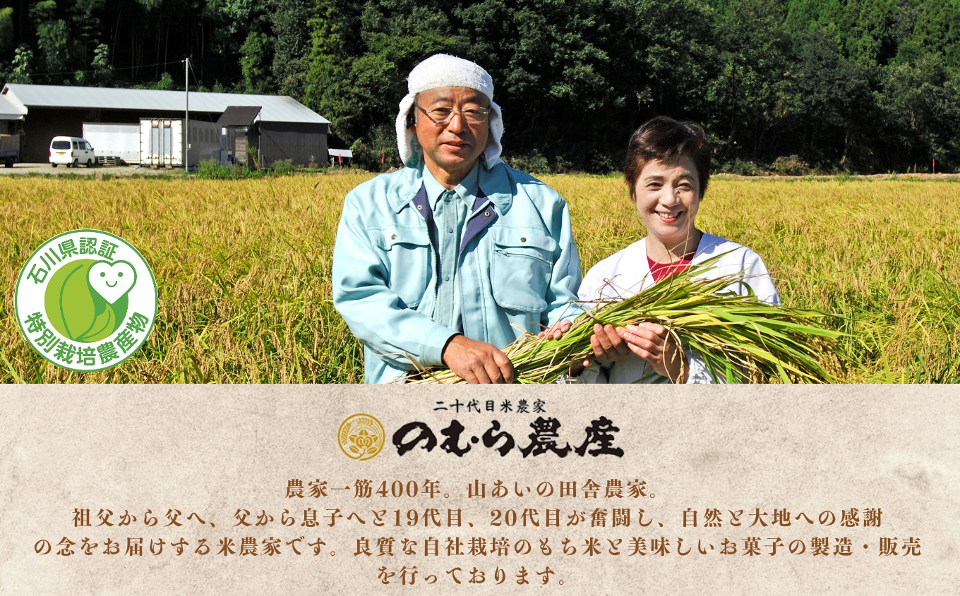 【先行予約】【定期便】令和8年産 特栽コシヒカリ 玄米 5kg×6ヶ月（毎月） 精米したて発送 精米 白米 こしひかり | 石川県 小松市【のむら農産】