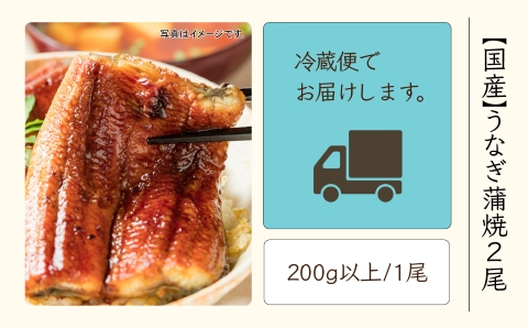 国産うなぎ蒲焼２尾 鰻 かば焼き