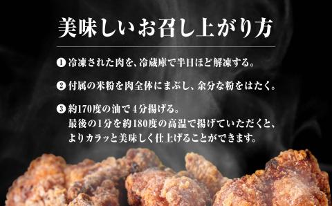 小松基地空上げ（からあげ）ご自宅セット（６００ｇ） 唐揚げ から揚げ 石川県 小松市 北陸