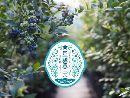 小松産ブルーベリー【きらぼしべりぃ】生果　400g 石川県 小松市 北陸