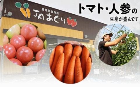 《JA小松市（隔月） 定期便６ヶ月》季節の野菜詰合せ 旬野菜 6回