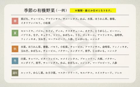 季節の有機野菜詰合せ Ｂセット 【西田農園】オーガニック野菜詰め合わせ  石川県 小松市 北陸