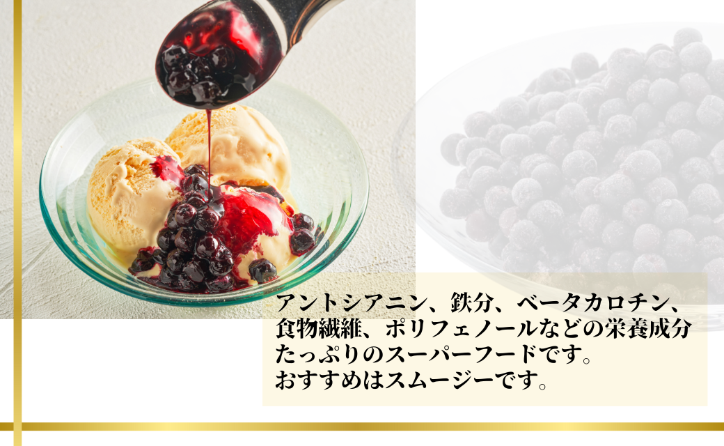 【先行予約】アロニア (ブラックベリー) 1kg 冷凍 フルーツ｜石川県 小松市