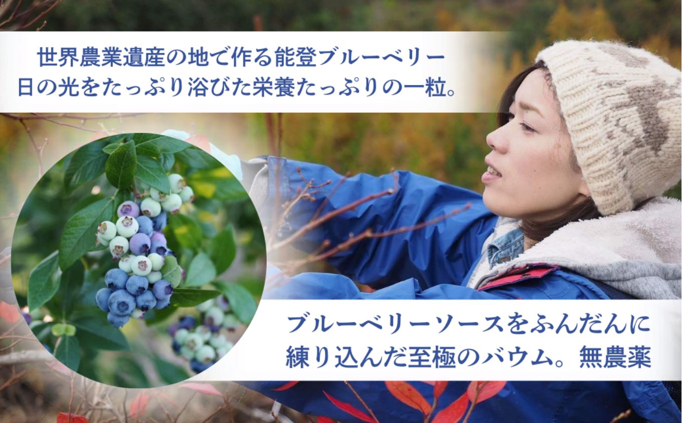 全国バウムクーヘン総選挙1位獲得！能登塩ぶるべりばぁむ180g×1個（約4.5号：直径13cm）【スイーツ お菓子 お土産 バームクーヘン バウムクーヘン 手土産 おやつ デザート お取り寄せグルメ 人気 送料無料 セット おすすめ ギフト 7000円以下 米粉 ツキトワ】