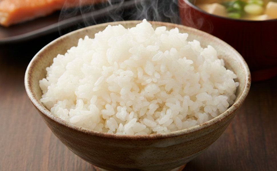 コシヒカリ 10kg こしひかり 精米 (5kg×2袋) 令和7年度産 お米 白米 | 石川県 小松市 JA小松市