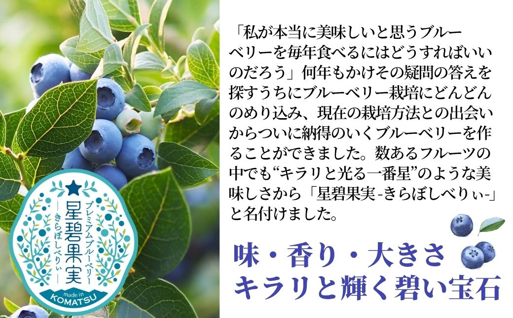 冷凍ブルーベリー 500g×3袋【きらぼしべりぃ】ブルーベリー フルーツ 冷凍