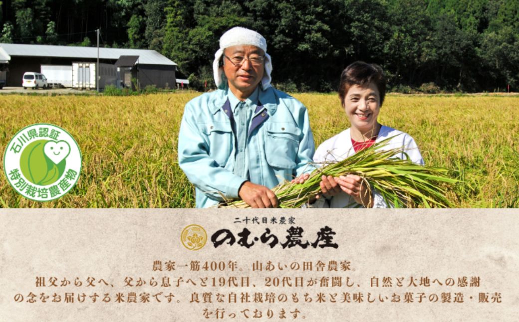 【6ヶ月定期便】特栽コシヒカリ 精米 白米 （玄米10kgを精米したて白米発送）令和7年産 こしひかり | 石川県 小松市【のむら農産】