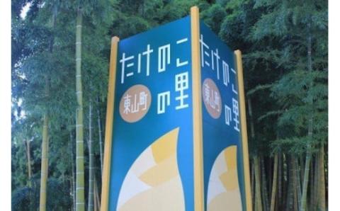 【来春先行予約】有機JAS認証  白子たけのこ 「色白美人」 3.5kg 筍 石川県 小松市 北陸