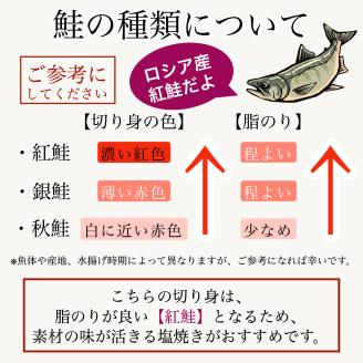 天然紅鮭 切り身 ( 甘塩 ) 5切 冷凍便 しゃけ さけ サケ シャケ 焼魚 焼き魚 石川県 小松市 北陸