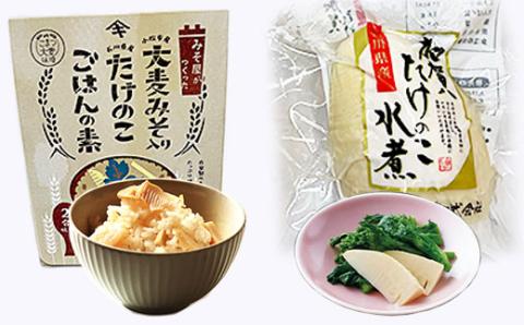 加賀たけのこ水煮　大麦みそ入り たけのこごはんの素(2合炊き用)セット 筍ご飯  石川県 小松市 北陸