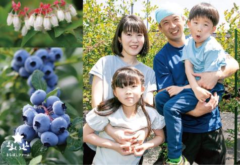 小松産ブルーベリー【きらぼしべりぃ】生果　400g 石川県 小松市 北陸