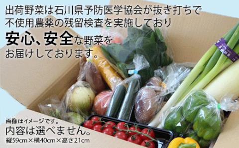 《JA小松市（隔月） 定期便６ヶ月》季節の野菜詰合せ 旬野菜 6回