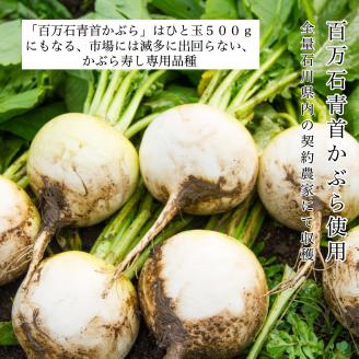 【加賀伝統の郷土料理】天然鰤のかぶら寿し　3袋