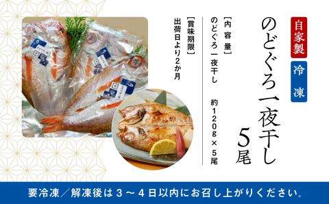 【日本海の高級魚】のど黒 一夜干し 詰合せ 120g×5尾 ノドグロ のどぐろ  石川県 小松市 北陸