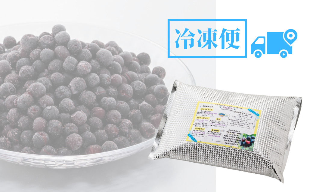 【先行予約】アロニア (ブラックベリー) 1kg 冷凍 フルーツ｜石川県 小松市