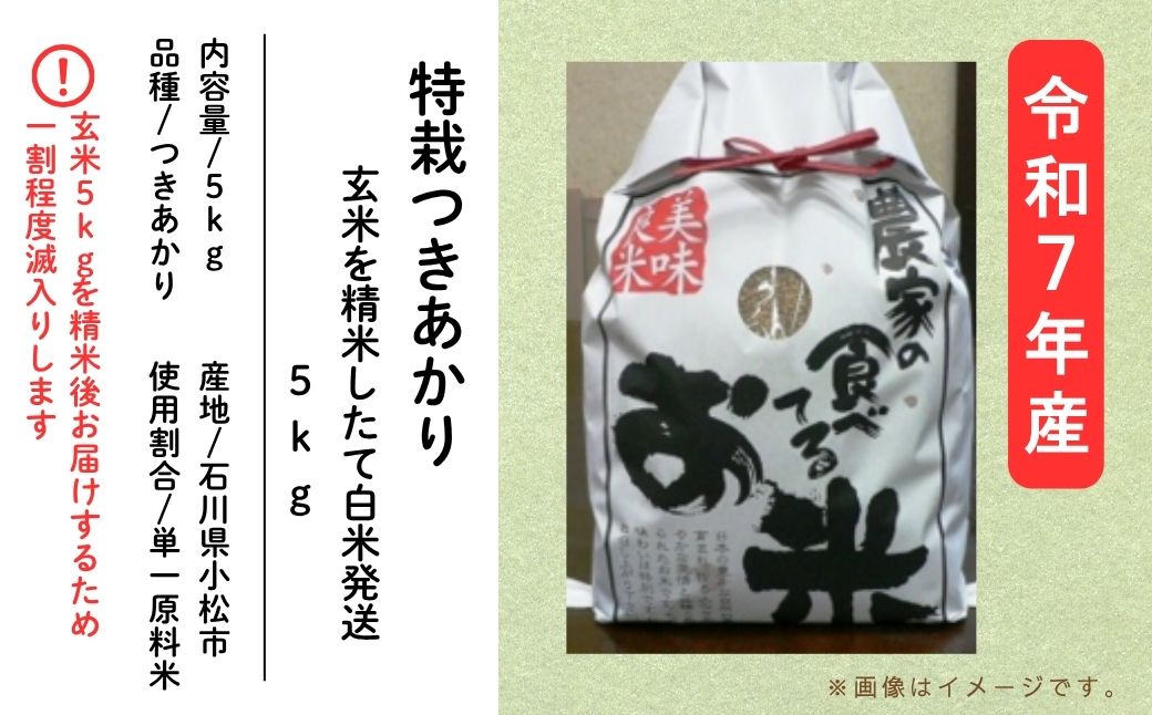 つきあかり玄米 5kg 精米したて発送｜石川県 小松市 有限会社のむら農産