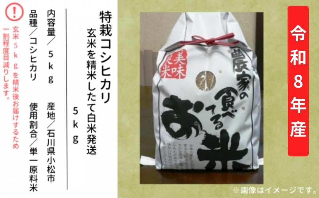 【先行予約】令和8年産 特栽コシヒカリ 玄米 5kg 精米したて発送 精米 白米 こしひかり | 石川県 小松市【のむら農産】