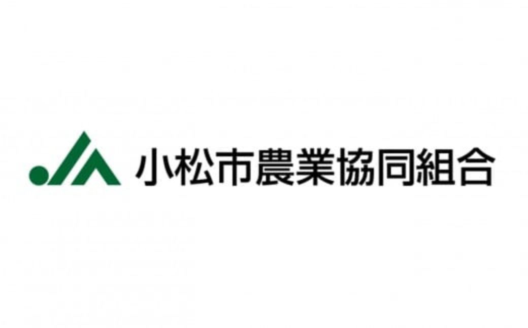 【先行予約】【定期便】令和8年産 小松産 ゆめみづほ 精米 5kg×2ヶ月（毎月） 米 お米｜石川県 小松市 JA小松市