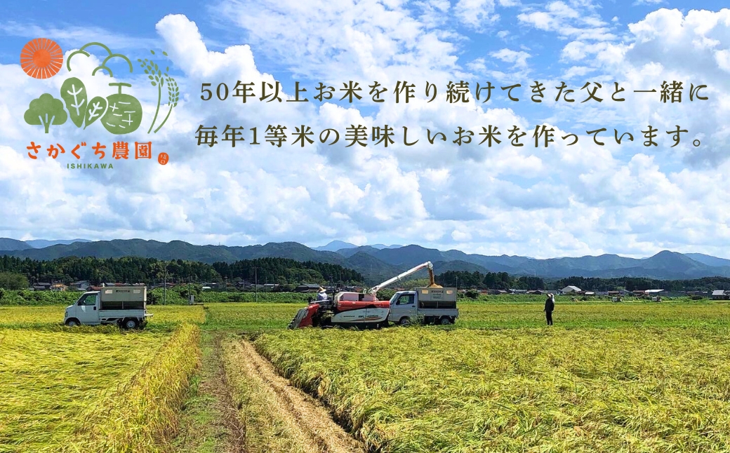 令和7年産 こしひかりカルゲン米 5kg お米 白米 コシヒカリ | 石川県 小松市【坂口農園】