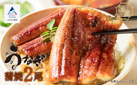 国産うなぎ蒲焼２尾 鰻 かば焼き