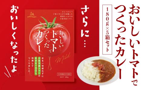 おいしいトマトでつくったカレー5箱セット レトルト パウチ カレー 石川県 小松市 北陸