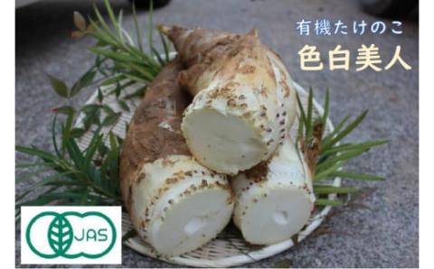 【来春先行予約】有機JAS認証  白子たけのこ 「色白美人」 3.5kg 筍 石川県 小松市 北陸