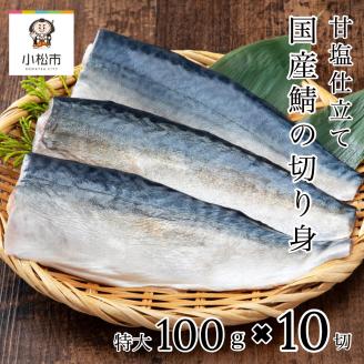 国産 鯖 切り身 （甘塩)　10切 冷凍便 焼魚  石川県 小松市 北陸