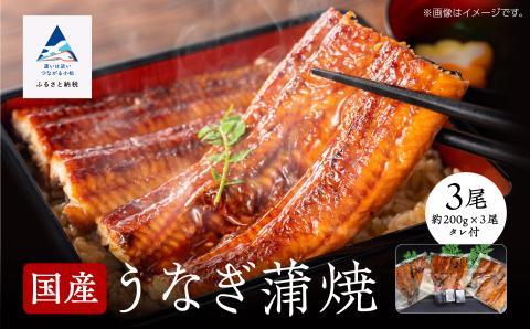 【真空パック】国産うなぎ蒲焼３尾 鰻 かば焼き
