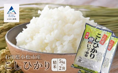 コシヒカリ 10kg こしひかり 精米 (5kg×2袋) 令和7年度産 お米 白米 | 石川県 小松市 JA小松市