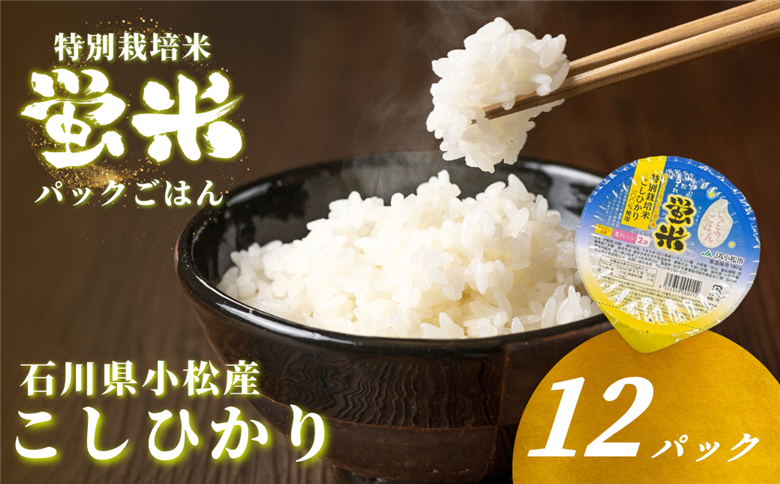 パックご飯 12個入り こしひかり 特別栽培米 「蛍米」パックごはん パックライス コシヒカリ 石川県 小松市 北陸