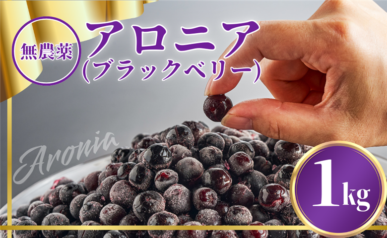 【先行予約】アロニア (ブラックベリー) 1kg 冷凍 フルーツ｜石川県 小松市