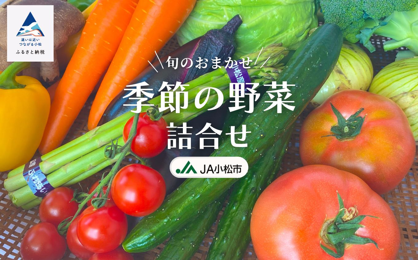 JA小松市 季節の野菜詰合せ 旬の野菜詰め合わせ