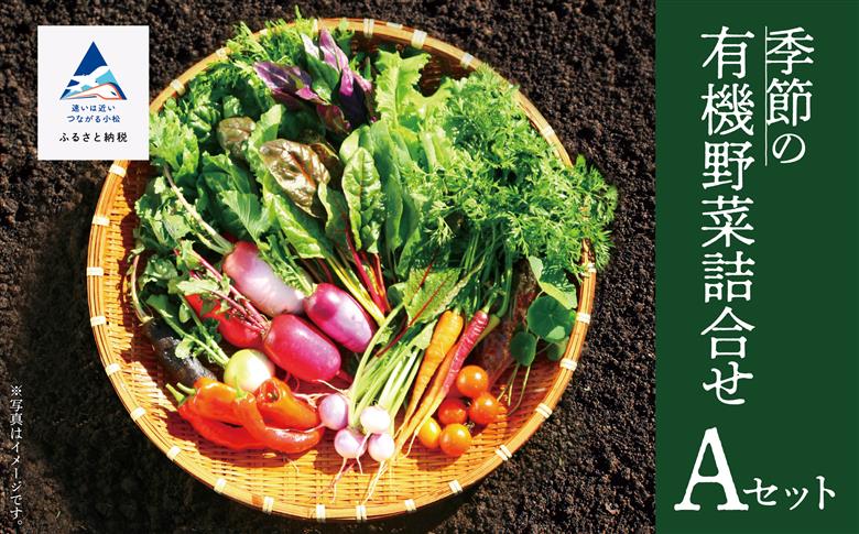 有機野菜詰合せ Aセット 西田農園 旬野菜 詰め合わせ セット  石川県 小松市 北陸