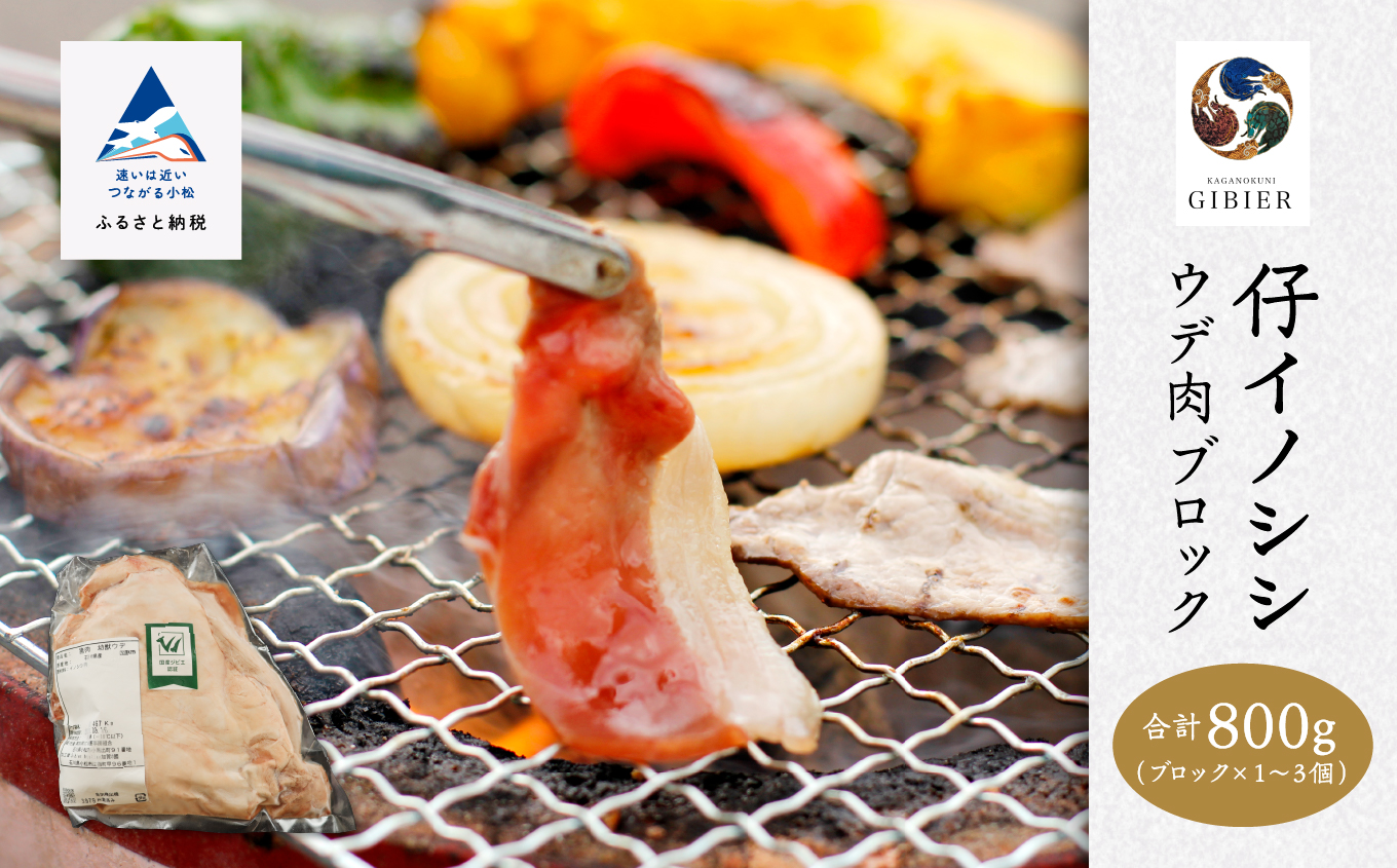 仔イノシシ ウデ肉 ブロック800g ジビエ イノシシ肉 猪肉  石川県 小松市 北陸