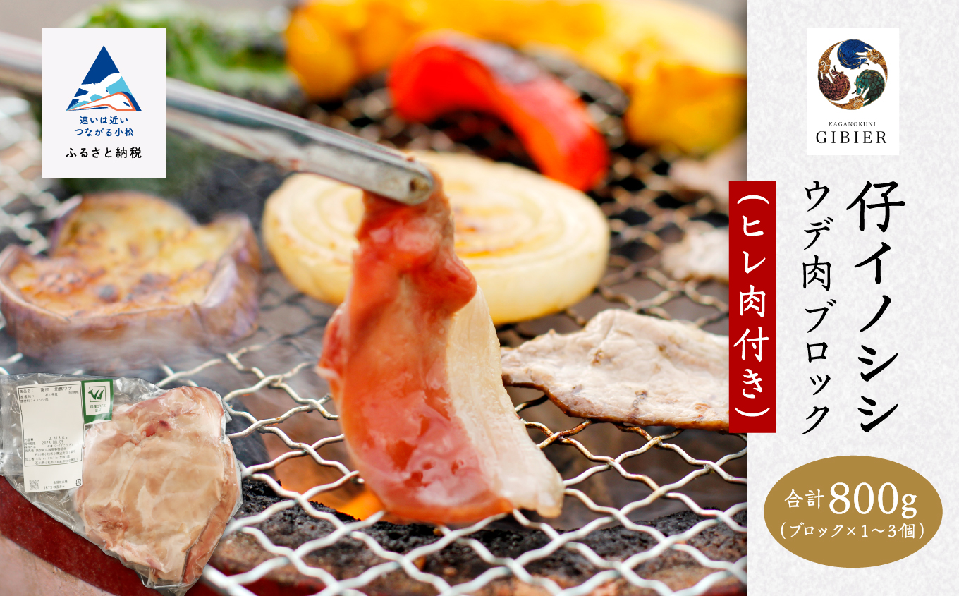 仔イノシシ ウデ肉 ブロック(ヒレ肉付き）800g  ジビエ イノシシ肉 猪肉  石川県 小松市 北陸