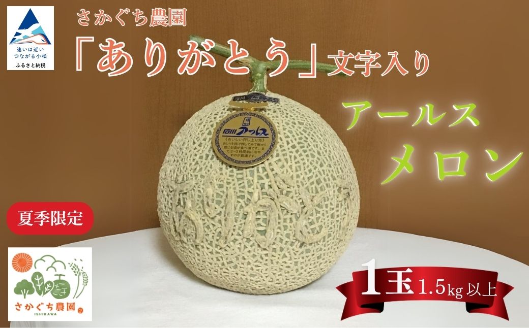 【先行予約】感謝の気持ちを込めたサプライズメロン《数量限定》 アールスメロン（「ありがとう」の文字入り）１玉1.5㎏以上 化粧箱入り 令和8年8月上旬より順次発送 先行予約 マスクメロン 果物 フルーツ プレゼント 贈答用