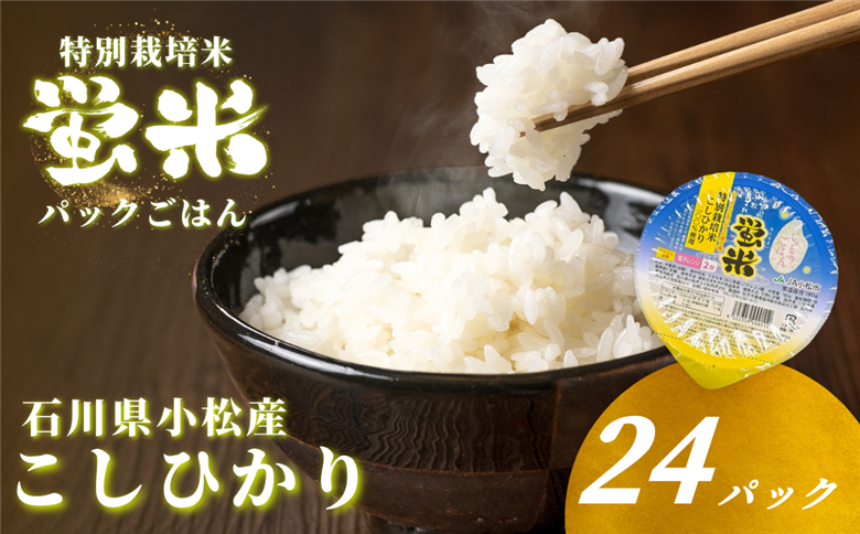 『蛍米』 パックごはん180g×24個入り 特別栽培米こしひかり パックご飯 パックライス コシヒカリ 24食 石川県 小松市産 お米 防災用