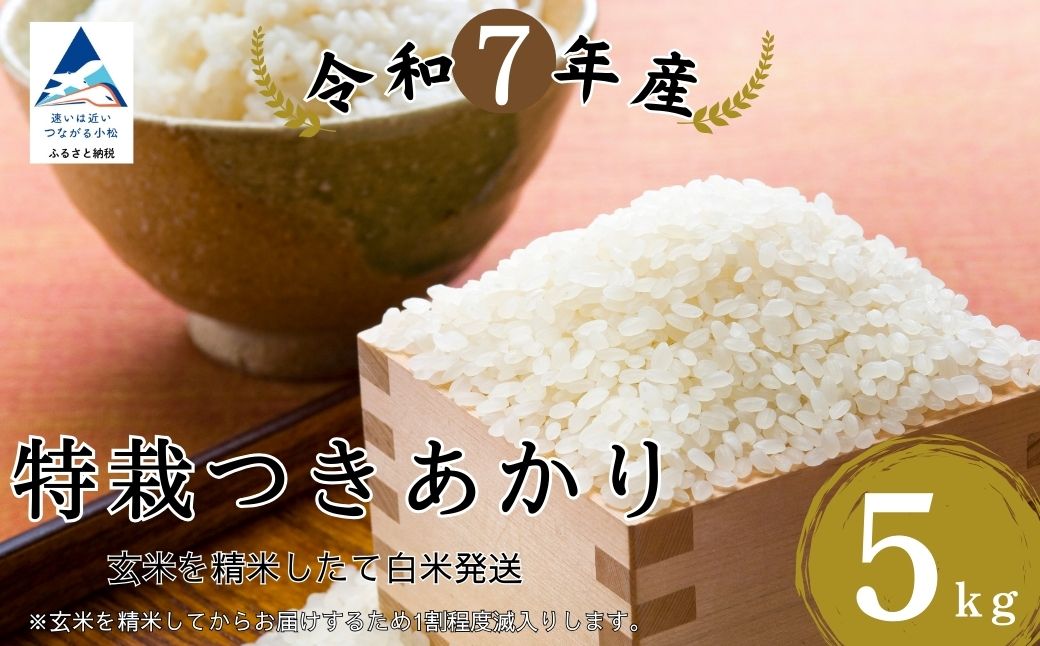 つきあかり玄米 5kg 精米したて発送｜石川県 小松市 有限会社のむら農産