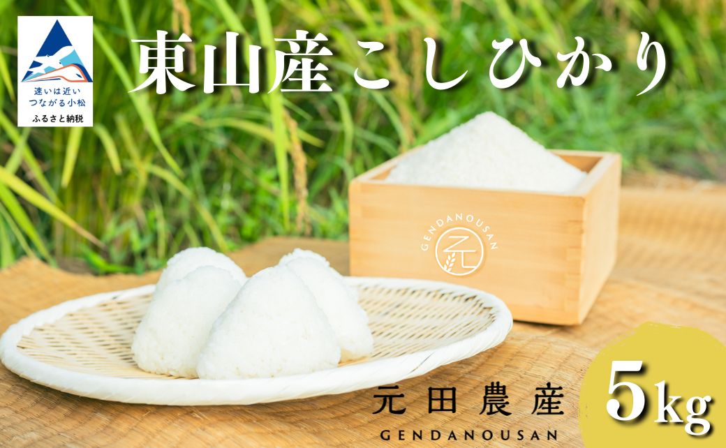 【先行予約】令和8年産コシヒカリ 精米 5kg お米 白米 小松市 石川県 【元田農産】
