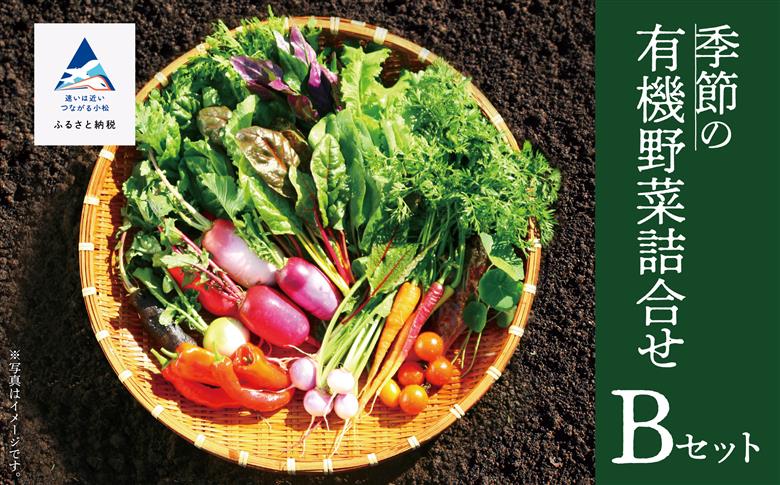 季節の有機野菜詰合せ Ｂセット 【西田農園】オーガニック野菜詰め合わせ  石川県 小松市 北陸