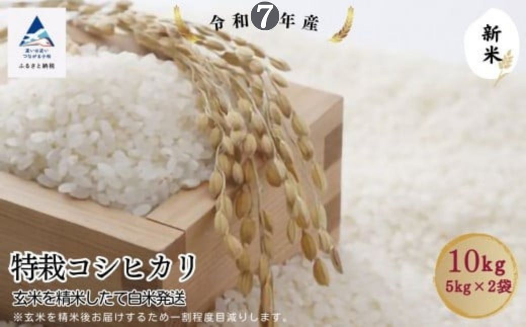 特栽コシヒカリ玄米10㎏（5㎏×2袋）精米したて白米発送