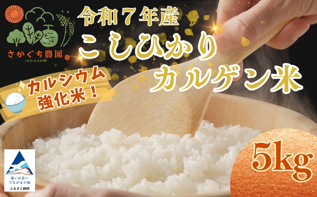 令和7年産 こしひかりカルゲン米 5kg お米 白米 コシヒカリ | 石川県 小松市【坂口農園】