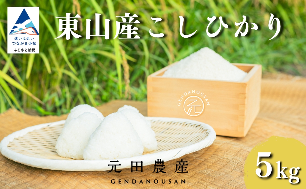 【コシヒカリ】 精米 5kg 元田農産 石川県 小松市産 こしひかり 5キロ