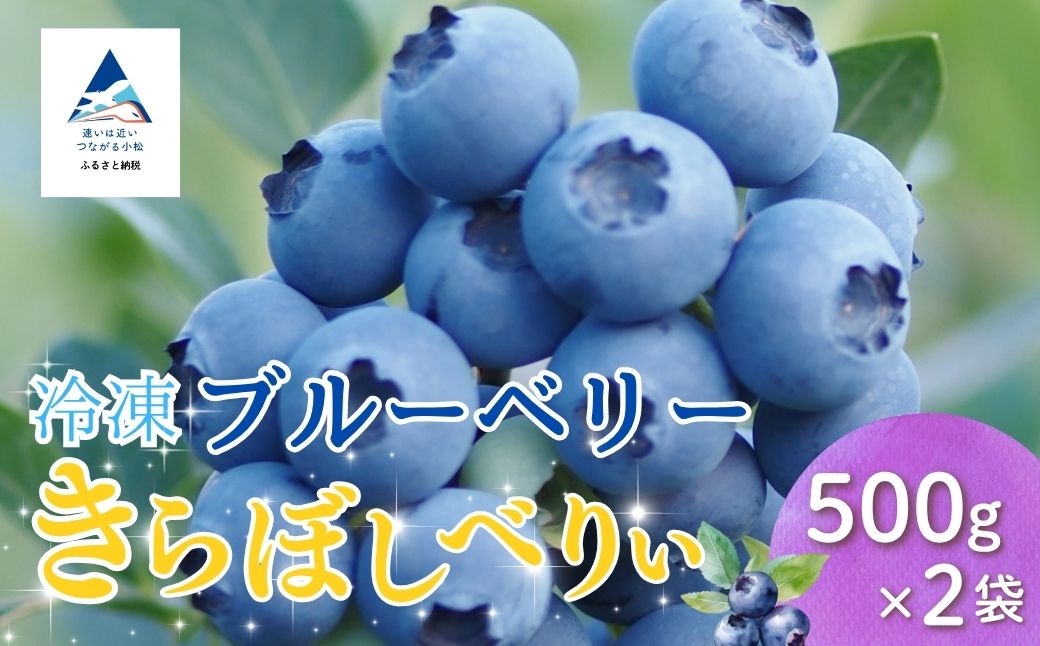 冷凍ブルーベリー 500g×2袋【きらぼしべりぃ】ブルーベリー フルーツ 冷凍