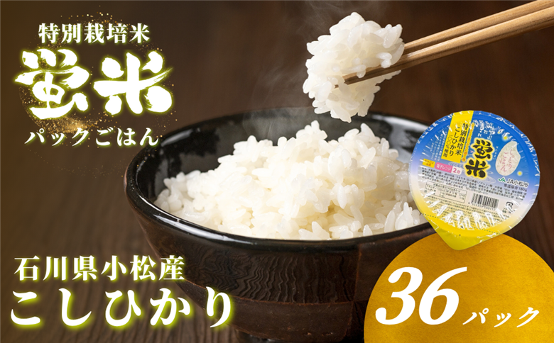 『蛍米』 パックご飯 180g×36個入り 特別栽培米 こしひかり パックごはん パックライス コシヒカリ 36食 石川県 小松市産 お米 防災用 024026