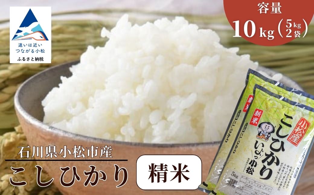 【先行予約】令和8年産 小松産こしひかり 精米 10kg（5kg×2袋） 米 お米｜石川県 小松市 JA小松市
