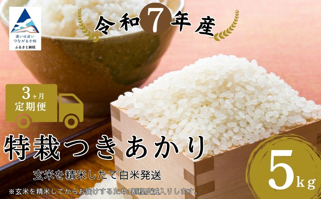 【３ヶ月定期便】特栽つきあかり（玄米5kを精米したて白米発送）令和7年産 | 石川県 小松市【のむら農産】