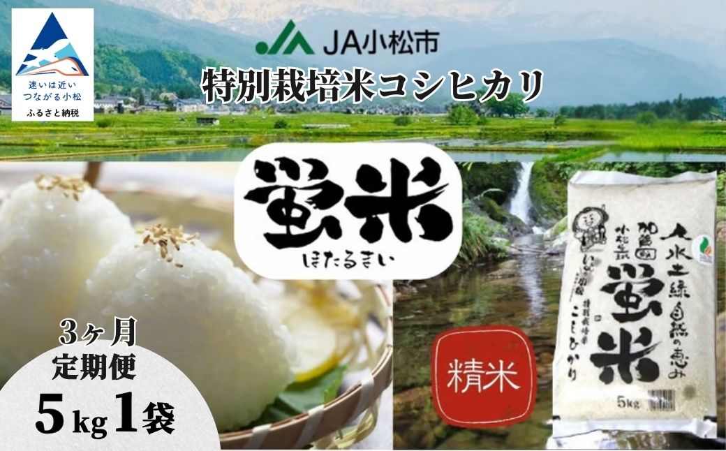【先行予約】【定期便】令和8年産【特別栽培米コシヒカリ】蛍米 精米 5kg×3ヶ月（毎月） 米 お米 ｜石川県 小松市 ＪＡ小松市