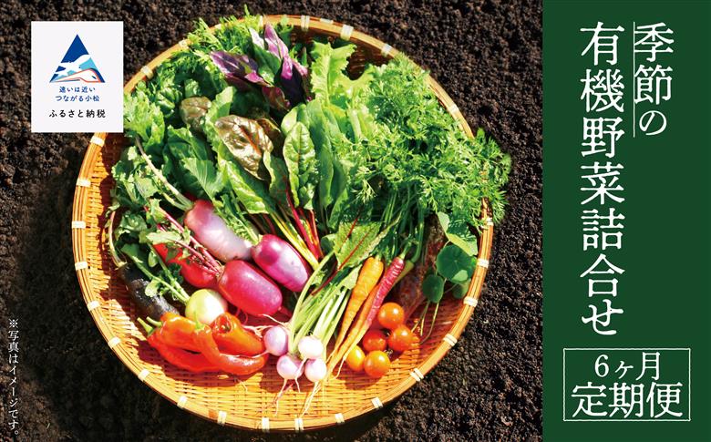 有機野菜詰合せ 6ヶ月 定期便 【西田農園】季節野菜 旬野菜 オーガニック野菜  石川県 小松市 北陸