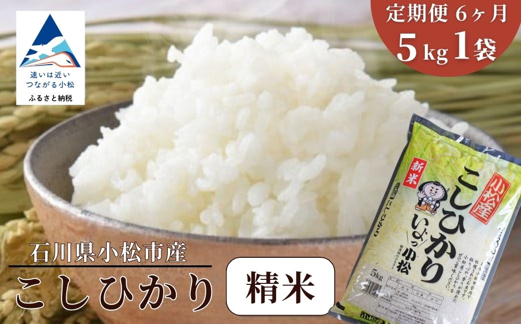 【先行予約】【定期便】令和8年産 小松産こしひかり 精米 5kg×6ヶ月（毎月） 米 お米｜石川県 小松市 JA小松市